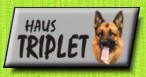 Kennel Haus Triplet