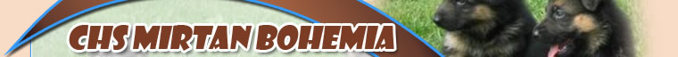Kennel Mirtan Bohemia