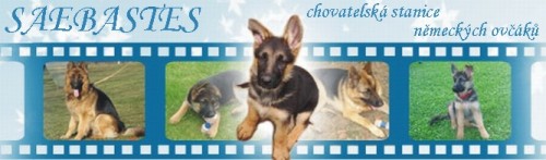 Kennel Seabastes