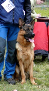 Vax